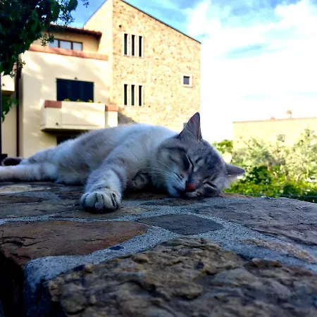 La Compagnia Del Chianti 아파트호텔 San Donato in Poggio